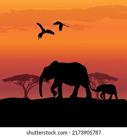 elephants in the shroud at sunset, wildlife vector illustration