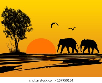 Elephants silhouette in africa at beautiful sunset, vector illustration