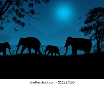 Elephants silhouette in africa at blue night, vector illustration