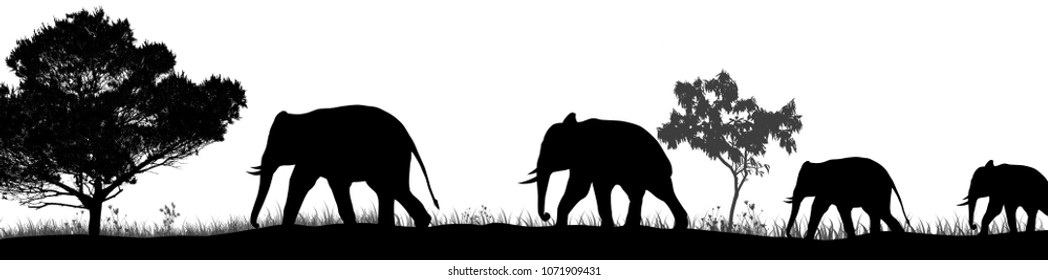 Elephants silhouette and trees in the savannah on white background, vector illustration