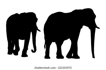 Elephants silhouettes.
