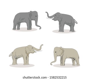 Elephants standing. Side view. Vector illustration isolated on the white background