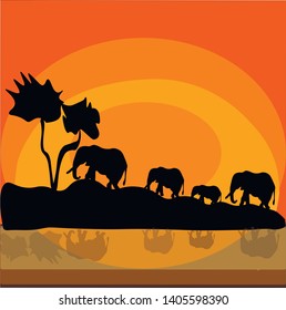 elephants travel by orange sunset across savannah in africa vector illustration 
