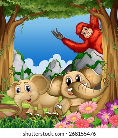 Elephants and urangutan in the forest
