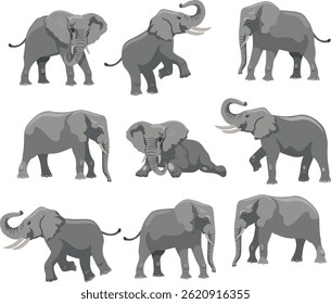 Elephants in Various Poses for jongle.