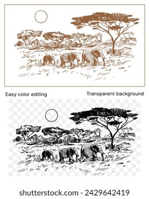 Elephants walk through the savannah, African landscape, vector  hand drawn illustration, sketch, engraving style