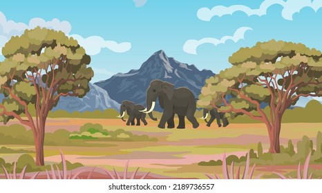 Elephants are walking in the forest beside the hills track.