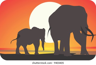 Elephants Walking Sunset Stock Vector (Royalty Free) 9403405 | Shutterstock