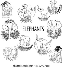 ELEPHANTS.Black and white linear illustration depicting elephants, moms,dads,cubs with twigs and flowers under a palm tree,coloring book for children and adults,line art wall art,posters,shaft art,sta