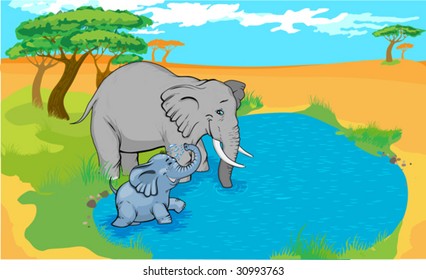 Elephats dreink water