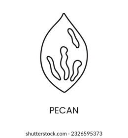 Elevate your designs with the Pecan Line Vector Icon, a visually appealing representation of the iconic pecan nut