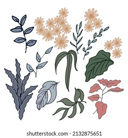 Elevate your wedding designs with this set of leaf and flower wedding ornaments. Featuring beautiful hand-drawn flowers and leaves in colorful detail, this vector set is perfect for adding forest vibe