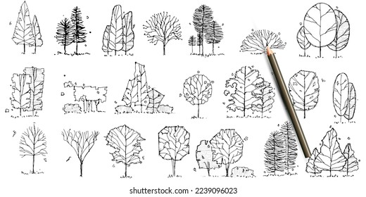 Vista elevada de árboles de dibujo a mano (material vectorial)