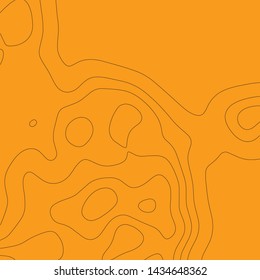 Elevation map. Topographic background.Vector illustretion.
