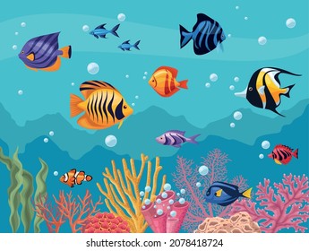 eleven fishes and seaweed scene