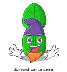Elf bergamot lime leaf isolated on mascot