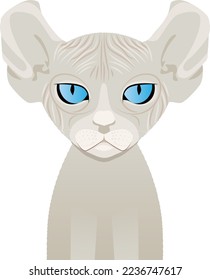 Elf cat vector. Bald cat. Home pet.
