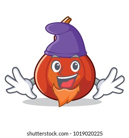 Elf red kuri squash character cartoon