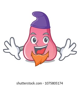 Elf rose apple character cartoon