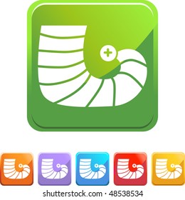 Elf Shoe web button isolated on a background