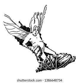 An elf sitting on a leaf while it floats in the air, vintage line drawing or engraving illustration