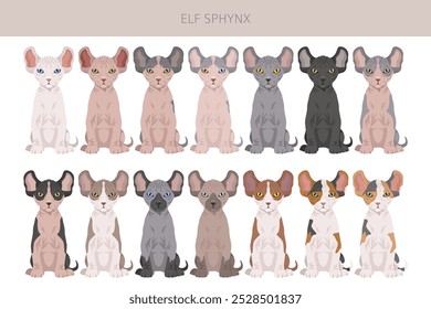 Elf Sphynx Cat. Todas as cores do casaco definido.  Todas as raças de gato características infográfico. Ilustração vetorial