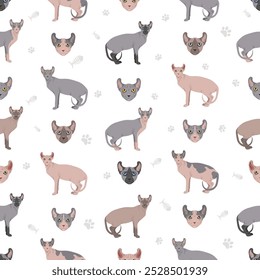 Elf Sphynx Cat nahtloses Muster. Alle Fellfarben eingestellt.  Alle Katze Rassen Merkmale Infografik. Vektorgrafik