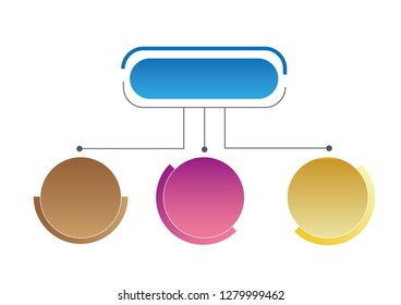 İnfographic elips vector