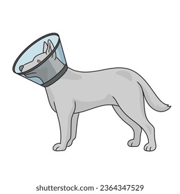 Elizabethan collar pet cone treat funnel on dog diagram schematic vector illustration. Medical science educational illustration