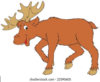 Elk