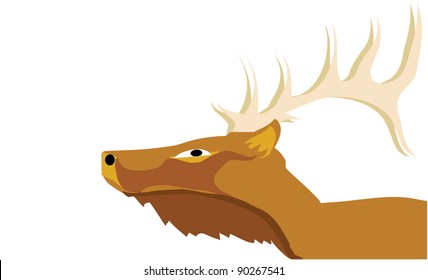 Elk