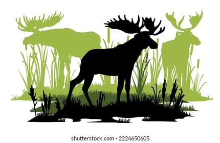 Elk with big antlers male. Herd grazing. Silhouette picture. Reeds graze in swamp. Animals in wild. Overgrown river bank. Isolated on white background. Vector.