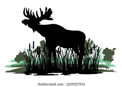 Elk with big antlers male. Silhouette picture. Animals in wild. Reeds graze in swamp. Overgrown river bank. Isolated on white background. Vector