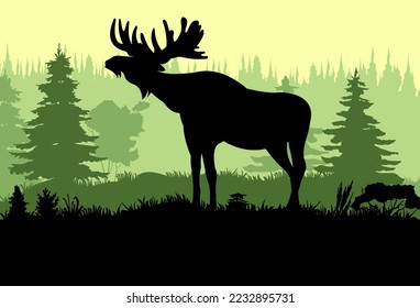 Elk with big antlers male. Silhouette picture. Glade in coniferous forest. Animals in wild. Vector