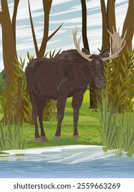 An elk with big horns stands on the shore of the pond. Realistic vector vertical landscape