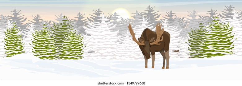 Elk with big horns walks through a snow-covered valley. Spruce forest on the horizon. Winter. Wild animals of Eurasia and North America. Realistic Vector Landscape