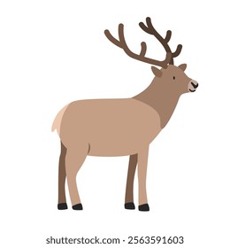 Elk cartoon clipart. Elk or wapiti vector illustration in flat style. Hand-drawn wild animal concept