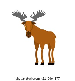 Elk cartoon isolated. Wild forest animal. Deer Vector illustration. 
