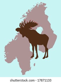 Elk with christmas caps on its antlers in Scandinavia