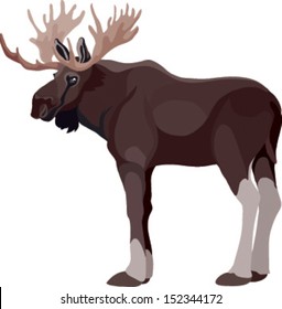 elk color, in vector graphics