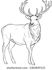 A Elk  colouring book for kids  easy to colour  vector illustration  Vector  Annimals