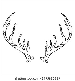 Elk and deer antler drawings, goat horn. Branched antlers. Doodle, outline drawing. Isolated single element..