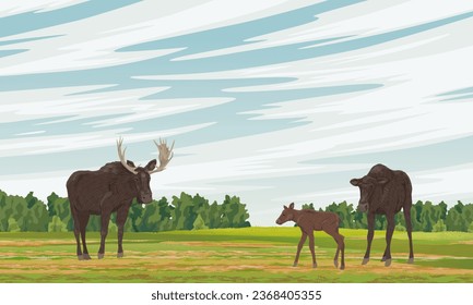 Elk family in the meadow. Realistic vector landscape