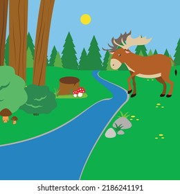Elk in the forest by the river and mushrooms by the stump