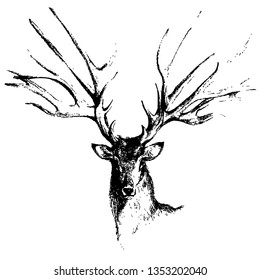 Elk hand drawn vector illustration. Wild animal