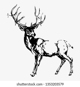 Elk hand drawn vector illustration. Wild animal