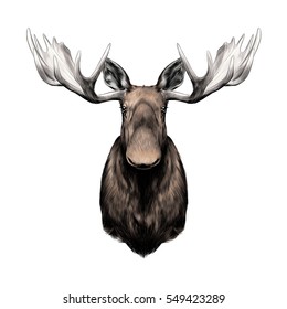 Elk Head Color Pattern Vector