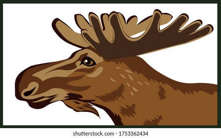 Elk, hoofed animal of the deer family