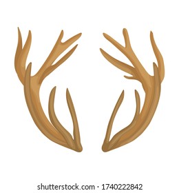Elk horn vector icon.Cartoon vector icon isolated on white background elk horn.