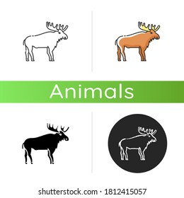 Elk icon. Linear black and RGB color styles. Hoofed ruminant animal with large antlers. American forest wildlife. Herbivore wapiti with big horns. Canadian moose isolated isolated vector illustrations